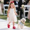 Kolan Enfants Petites filles Mary Jane Ballet Chaussures de Robe Plat(Kf07-rouge)